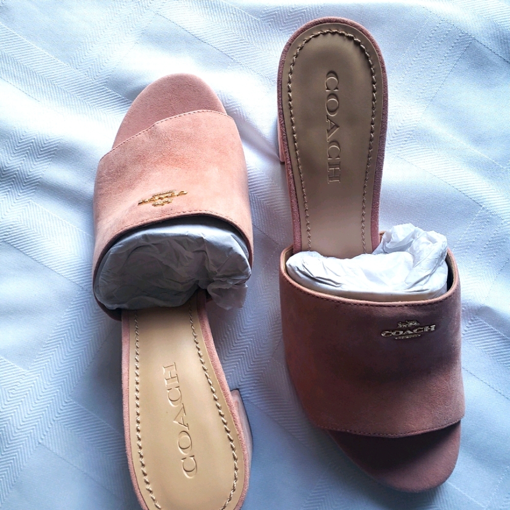 Coach Rosa Suede Sandals